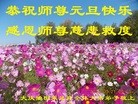 Published on 12/31/2015 ���ֹ�,��½�󷨵��ӹ�ףʦ���������(31��)
