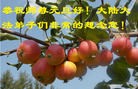 Published on 12/31/2015 ���ֹ�,��½�󷨵��ӹ�ףʦ���������(30��)
