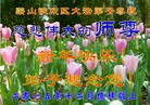 Published on 12/29/2015 ���ֹ�,��½�󷨵��ӹ�ףʦ���������(29��)
