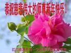 Published on 12/29/2015 ���ֹ�,��½�󷨵��ӹ�ףʦ���������(35��)
