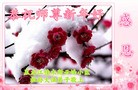 ֹ,ľ˹󷨵ӹףʦ(19)
