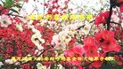 ֹ,󷨵ӹףʦ(20)
