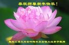 Published on 12/29/2015 ���ֹ�,��½�󷨵��ӹ�ףʦ���������(33��)
