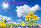 Published on 12/31/2015 ���ֹ�,��½�󷨵��ӹ�ףʦ���������(32��)
