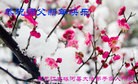 Published on 12/29/2015 ���ֹ�,��½�󷨵��ӹ�ףʦ���������(27��)

