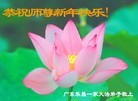 Published on 12/29/2015 ���ֹ�,��½�󷨵��ӹ�ףʦ���������(35��)
