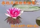 ֹ,ʡ󷨵ӹףʦ(30)
