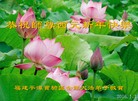 Published on 12/31/2015 ���ֹ�,��½�󷨵��ӹ�ףʦ���������(47��)
