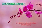 ֹ,ݴ󷨵ӹףʦ(21)

