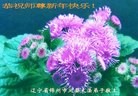 ֹ,ݴ󷨵ӹףʦ(18)
