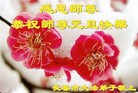 ֹ,ʡ󷨵ӹףʦ(30)
