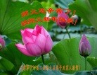 ֹ,󷨵ӹףʦ(22)
