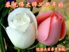ֹ,ʡ󷨵ӹףʦ(23)
