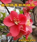 ֹ,ʡ󷨵ӹףʦ(23)
