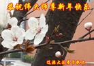 ֹ,ʡ󷨵ӹףʦ(23)
