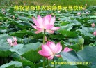 ֹ,󷨵ӹףʦԪ(22)
