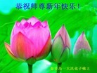 法轮功,河北省大法弟子恭祝师尊新年快乐(36条)
