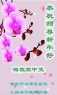 ֹ,ʡ󷨵ӹףʦ(30)
