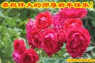 ֹ,ʡ󷨵ӹףʦ(23)

