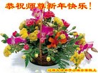 ֹ,ʡ󷨵ӹףʦ(23)
