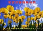 ֹ,ʡ󷨵ӹףʦ(32)
