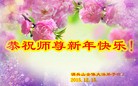 Published on 12/29/2015 ���ֹ�,��½�󷨵��ӹ�ףʦ���������(36��)
