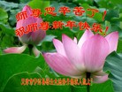 ֹ,󷨵ӹףʦ(22)
