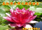 ֹ,ʡ󷨵ӹףʦ(21)
