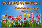 ֹ,󷨵ӹףʦ(25)
