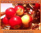 ֹ,󷨵ӹףʦ(25)
