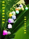 ֹ,ʡ󷨵ӹףʦ(21)
