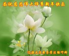 ֹ,ʡ󷨵ӹףʦ(21)
