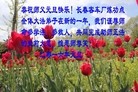 ֹ,󷨵ӹףʦ(25)
