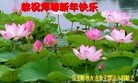 ֹ,ʡ󷨵ӹףʦ(21)
