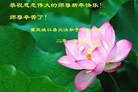 法轮功,重庆大法弟子恭祝师尊新年快乐(24条)
