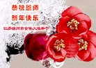 ֹ,մ󷨵ӹףʦ(20)
