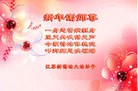 Published on 12/31/2015 ���ֹ�,��½�󷨵��ӹ�ףʦ���������(34��)
