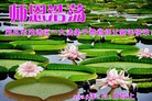 ֹ,㶫󷨵ӹףʦ(28)
