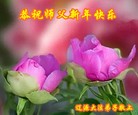 ֹ,ʡ󷨵ӹףʦ(23)
