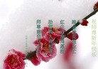 ֹ,󷨵ӹףʦ(22)
