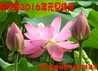 Published on 12/31/2015 ���ֹ�,��½�󷨵��ӹ�ףʦ���������(34��)
