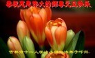 法轮功,吉林省大法弟子恭祝师尊新年快乐(30条)
