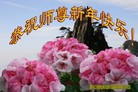 Published on 12/29/2015 ���ֹ�,����ҵ�󷨵��ӹ�ףʦ�������(34��)

