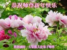 Published on 12/30/2015 ���ֹ�,����ҵ�󷨵��ӹ�ףʦ���������(31��)
