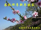 ֹ,ʡ󷨵ӹףʦ(21)
