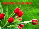 ֹ,󷨵ӹףʦ(24)
