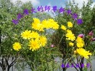 ֹ,󷨵ӹףʦ(25)
