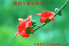 ֹ,ϴ󷨵ӹףʦ(24)
