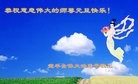 Published on 12/31/2015 ���ֹ�,��½�󷨵��ӹ�ףʦ���������(47��)
