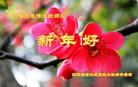 Published on 12/30/2015 ���ֹ�,����ҵ�󷨵��ӹ�ףʦ���������(28��)
